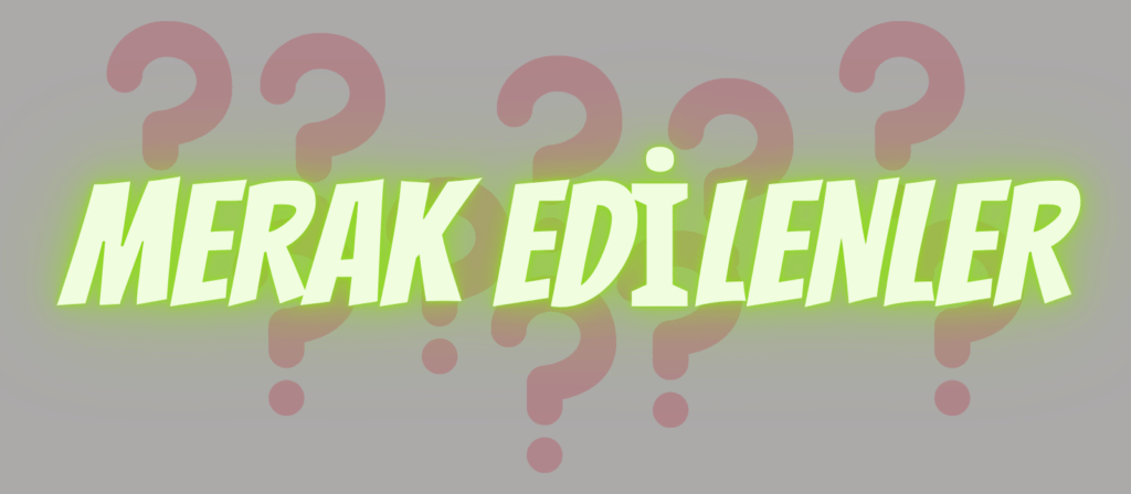 tur şirketlerinde araç çalıştırmak