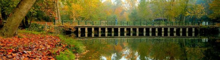 Degirmen bogazi tabiat parki değirmen boğazı