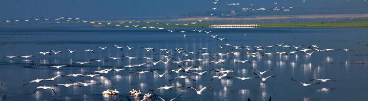 Izmir havalimanindan balcovaya ulasim kuş cenneti balıkesir