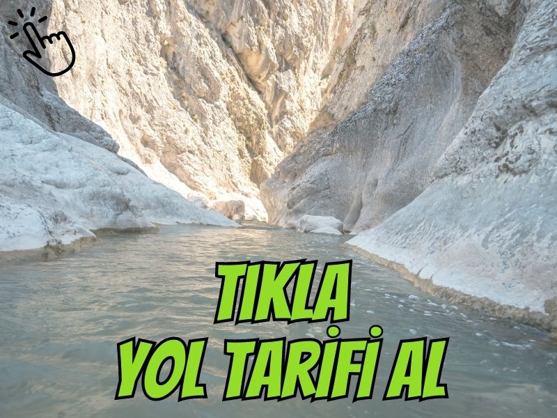 uzman araç şoförleri