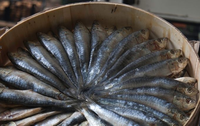 Bodrum havalimanindan datcaya ulasim Çanakkale yöresel yemekler