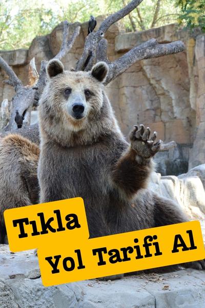 İzmir hayvanat bahçesi