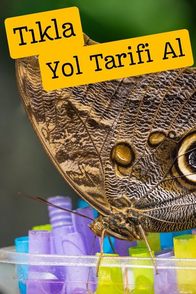 konya kelebekler vadisi