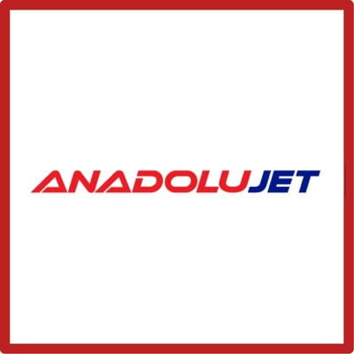 anadolujet uçak bileti koltuk seçimi