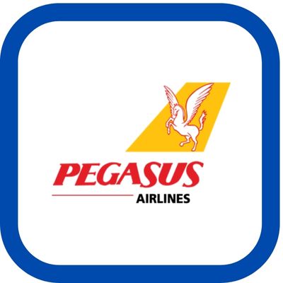 pegasus engelli uçak bileti indirim