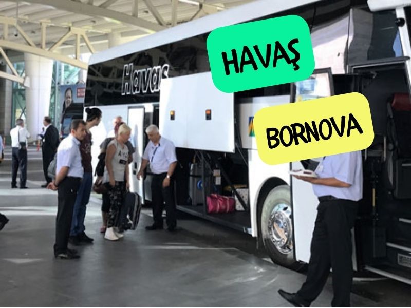 havas bornova