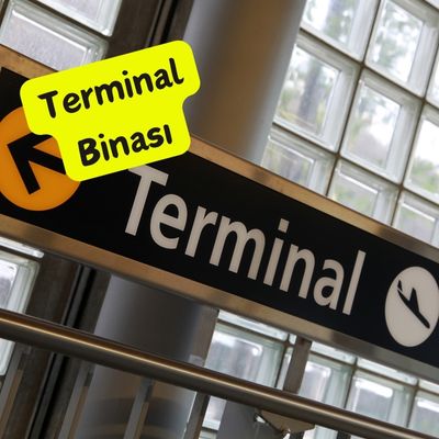 hava meydanı terminali