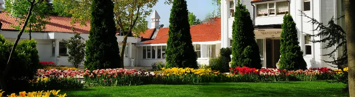 beykoz korusu İstanbul