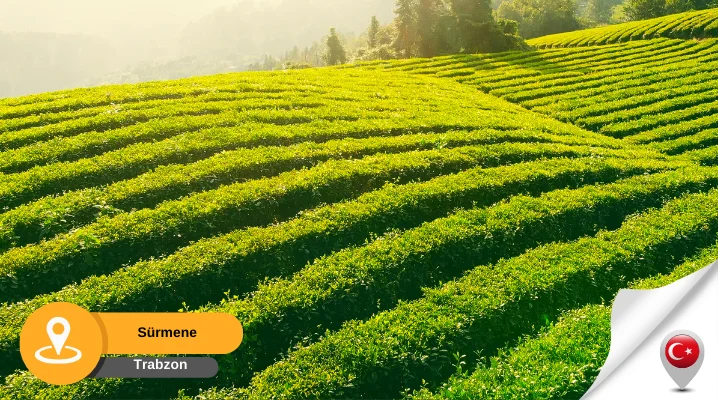 Trabzon sürmene sürmene gezilecek yerler