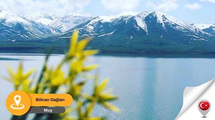 muş bilican dağları