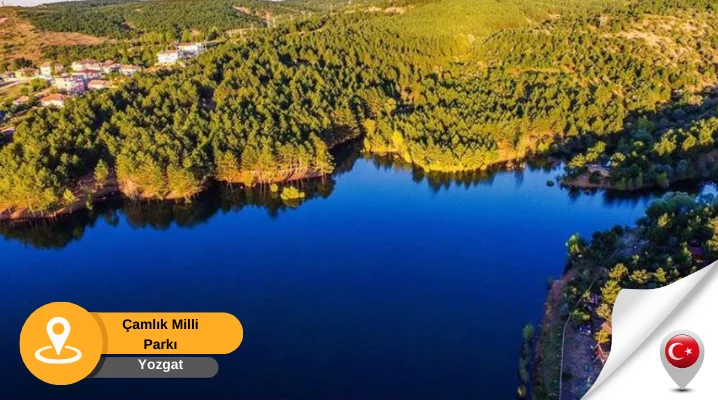 Çamlık milli parkı yozgat yozgat Çamlık milli parkı