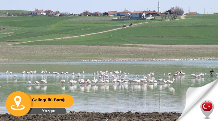 Gelingüllü barajı yozgat yozgat gelingüllü barajı