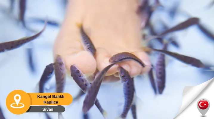 Kangal balıklı kaplıca sivas sivas kangal balıklı kaplıca