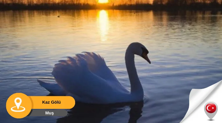 muş kaz gölü