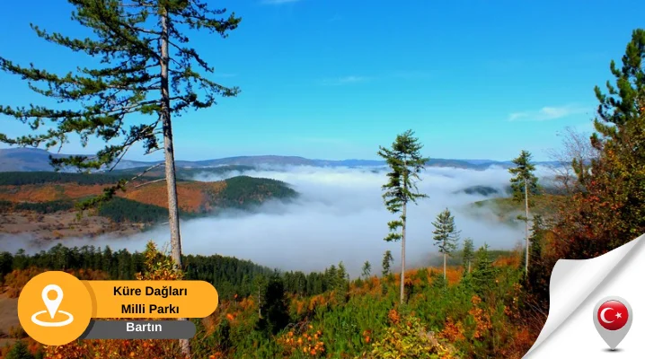 küre dağları bartın