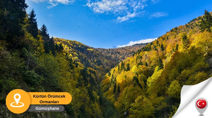 gümüşhane kürtün Örümcek ormanları