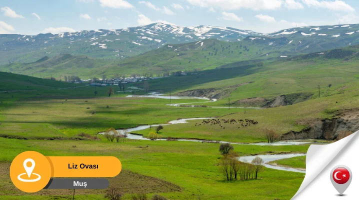 muş liz ovası