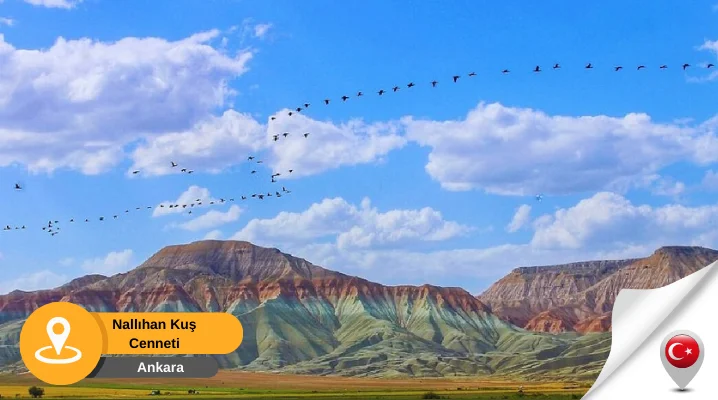 Nallihan kus cenneti nallıhan kuş cenneti ankara