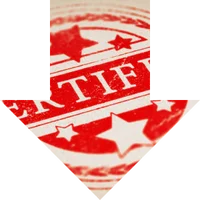 d2 belgeli kiralık minibüs