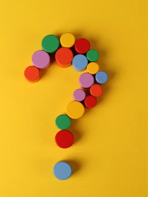 van büyük otobüs kiralama