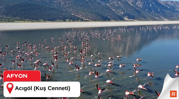 Acıgöl (Kuş Cenneti)