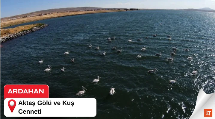 Aktaş Gölü ve Kuş Cenneti