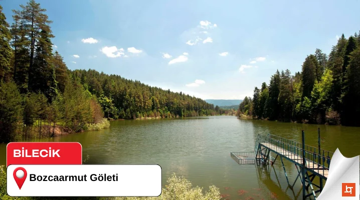 Bozcaarmut Göleti