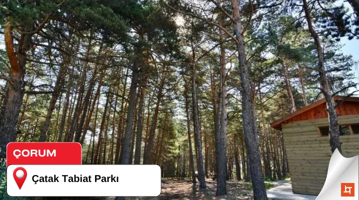 Çatak Tabiat Parkı