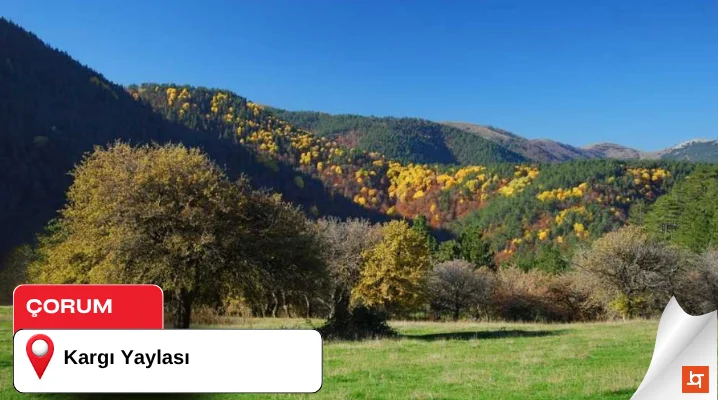 Kargı Yaylası (Abdullah Yaylası)