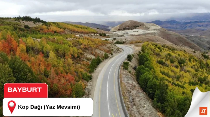 Kop Dağı (Yaz Mevsimi)