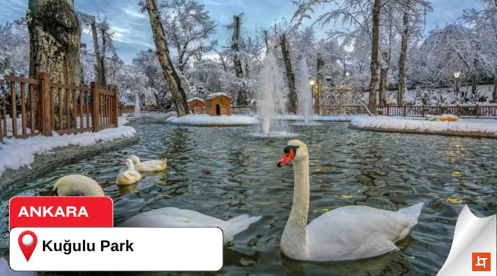 Kuğulu Park