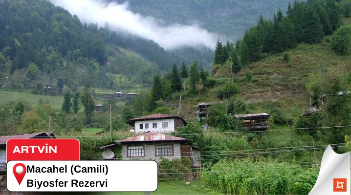 Macahel (Camili) Biyosfer Rezervi