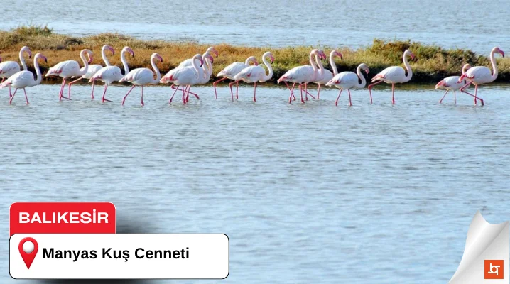 Manyas Kuş Cenneti Milli Parkı