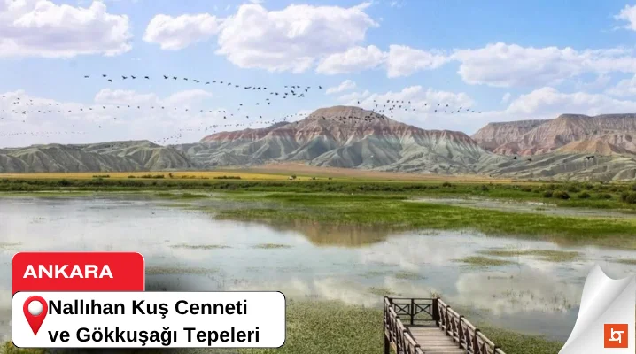 Nallıhan Kuş Cenneti ve Gökkuşağı Tepeleri