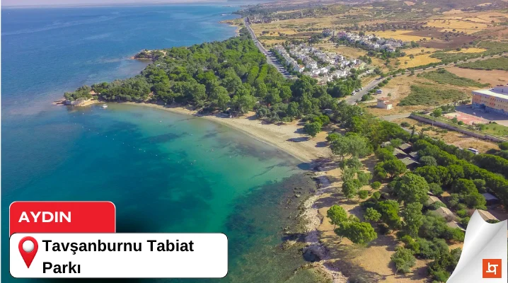 Tavşanburnu Tabiat Parkı