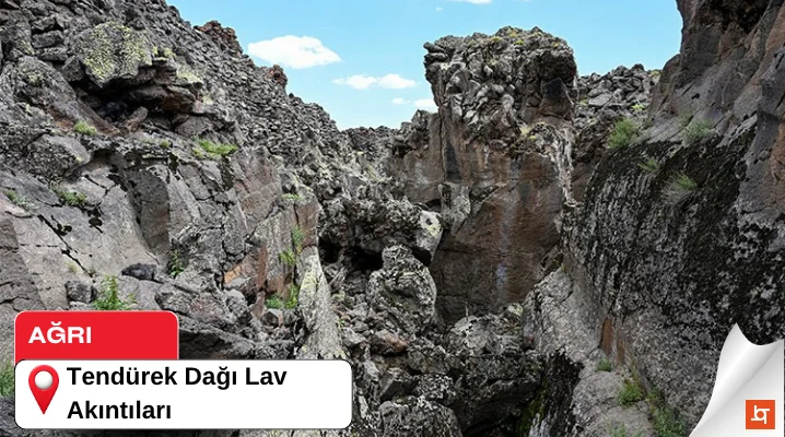 Tendürek Dağı Lav Akıntıları
