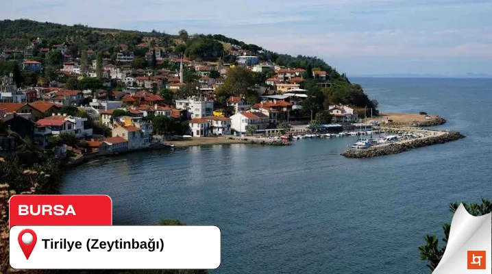 Tirilye (Zeytinbağı)