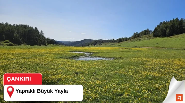 Yapraklı Büyük Yayla