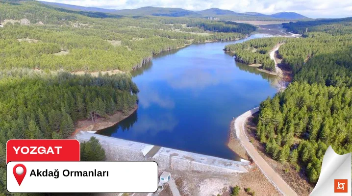 Yozgat Akdağ Ormanları