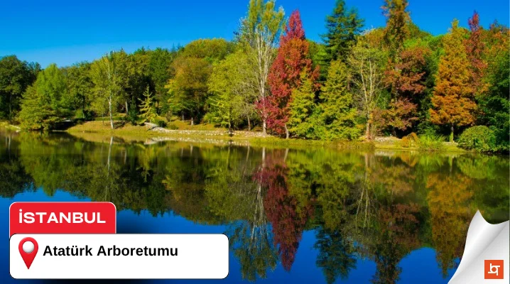 Atatürk Arboretumu