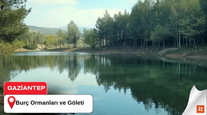 Burç Ormanları ve Göleti