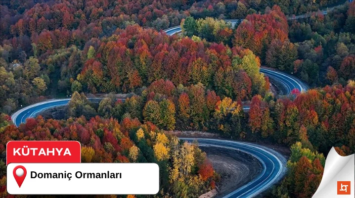 Domaniç Ormanları