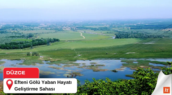 Efteni Gölü Yaban Hayatı Geliştirme Sahası