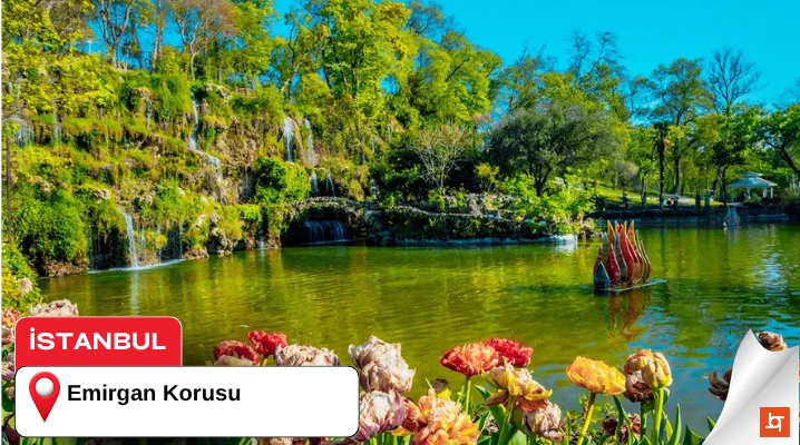 Emirgan Korusu