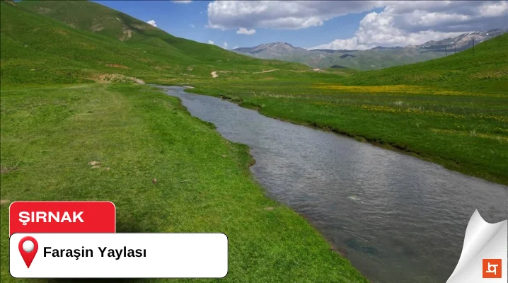 Faraşin Yaylası