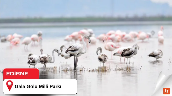Gala Gölü Milli Parkı