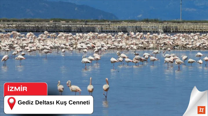Gediz Deltası Kuş Cenneti