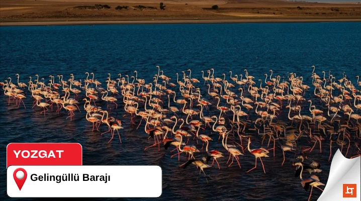 Yozgat Gelingüllü Barajı