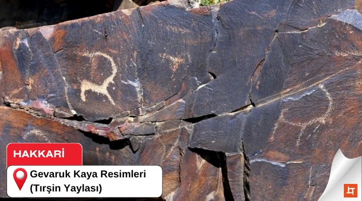 Gevaruk Kaya Resimleri (Tırşin Yaylası)