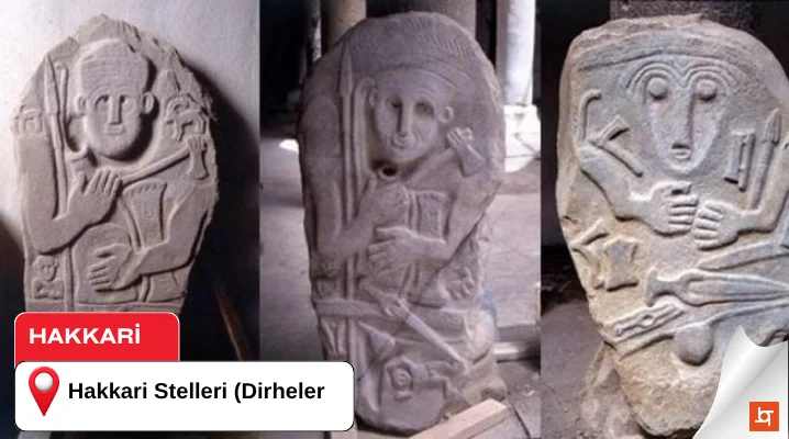 Hakkari Stelleri (Dirheler)